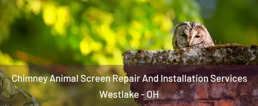  Chimney Animal Screen Repair And Installation Services Westlake - OH