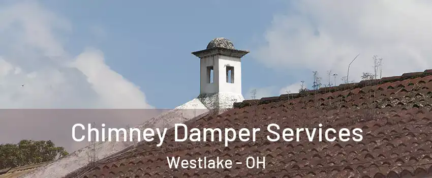  Chimney Damper Services Westlake - OH