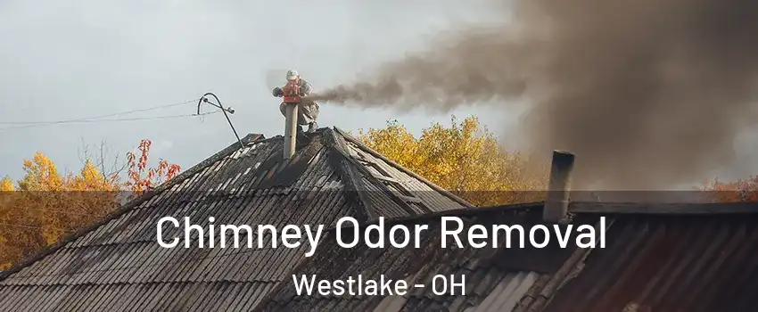  Chimney Odor Removal Westlake - OH