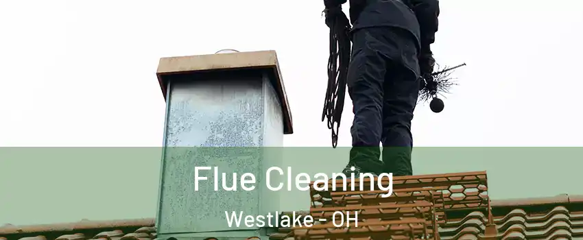  Flue Cleaning Westlake - OH