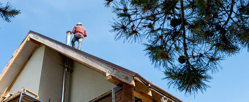 Birds Removal Contractors from Chimney in Westlake, OH
