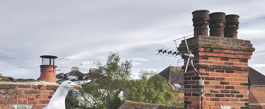 Chimney Cleaning And Restoration in Westlake, Ohio