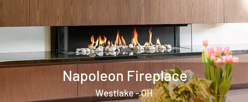  Napoleon Fireplace Westlake - OH